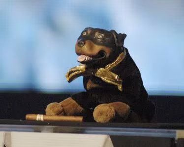 Triumph The Insult Comic Dog