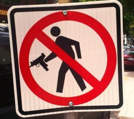 Gun Control: Can the Gun Shoot Itself? 2
