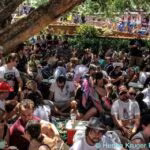 2013 Park Acoustics Concert series off to awesome start 9 Park Acoustics 27 January 2013 12