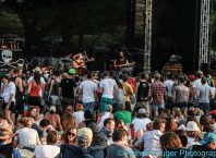 Park Life 11