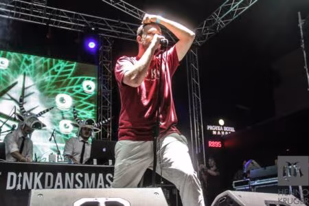 Hatfield Carnival 2014 13