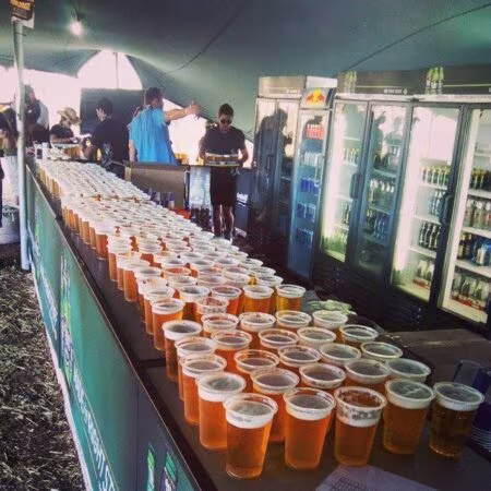 Oppikoppi 2014 Odyssey: My Review 1000 Beers - Oppikoppi