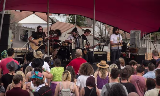 Mr Cat & The Jackal - Rise and Shine Festival