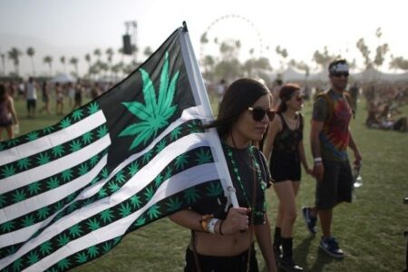 Cannabis Culture and South African Music Festivals 1