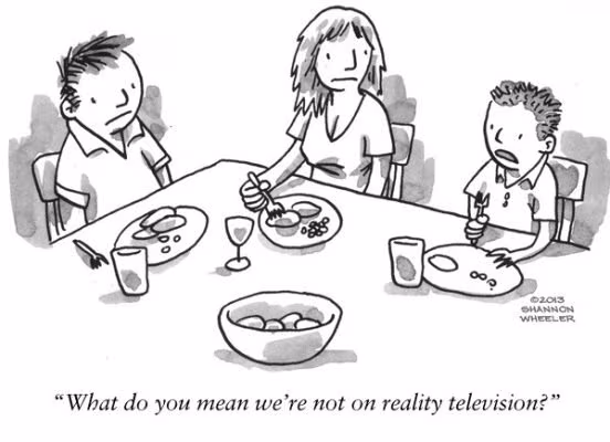 Reality TV: 54 Things that you can do instead of watching it 5 Reality TV Joke
