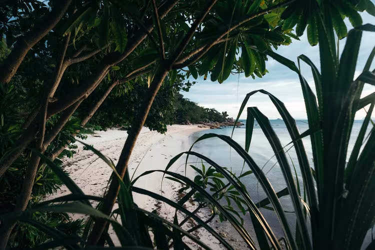Sunrise Beach, Koh Pha Ngan