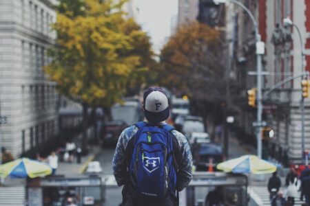 Traveler