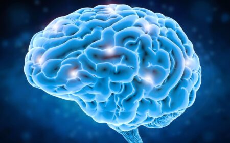 Brain - Facts
