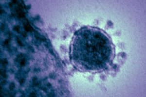 Coronavirus: 10 Interesting Facts You Might Not Have Known