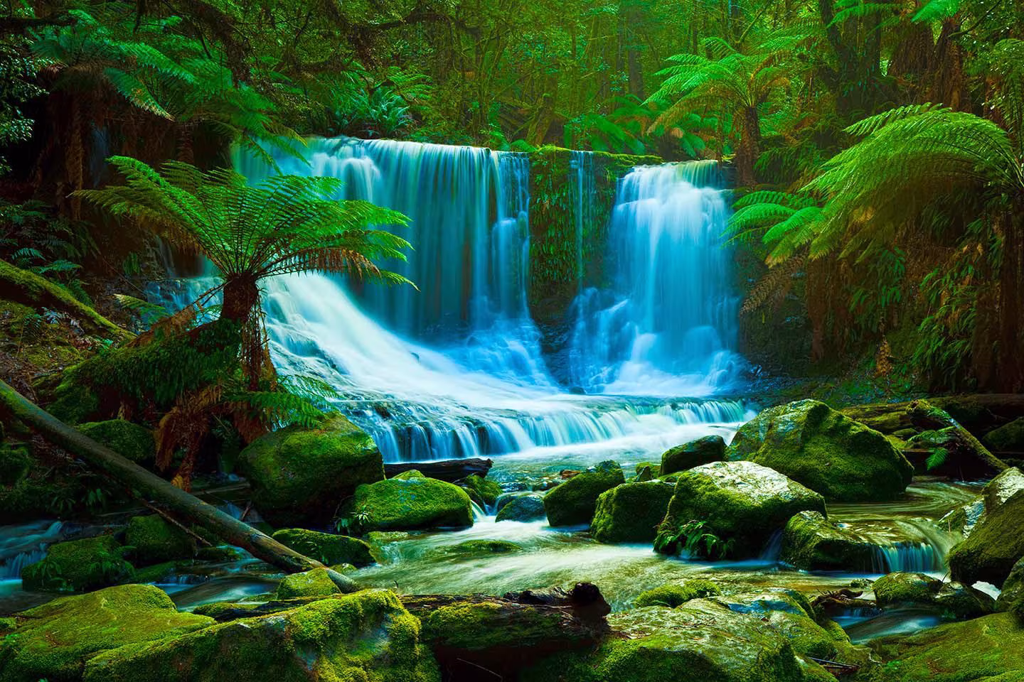 Daintree River and Rain Forest - Landscape Photography in Australia