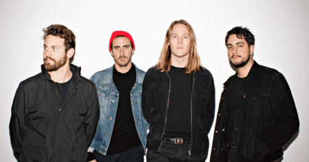 Indian Mynah - Designasaurs