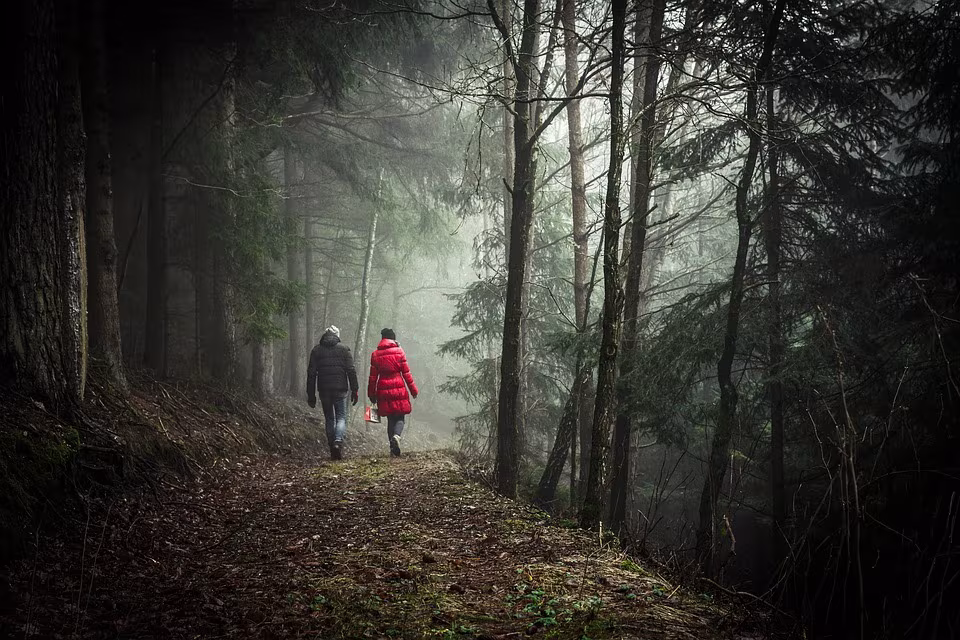 Human Memory: 10 Facts You Might Not Know 10 Human Memory - Walking