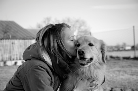 Pet Owners - Affections