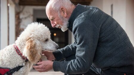 Dog Therapies for the Elderly