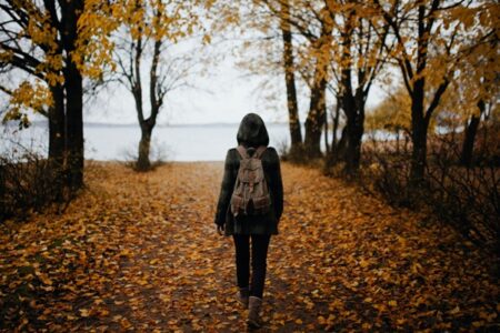 Walking Facts
