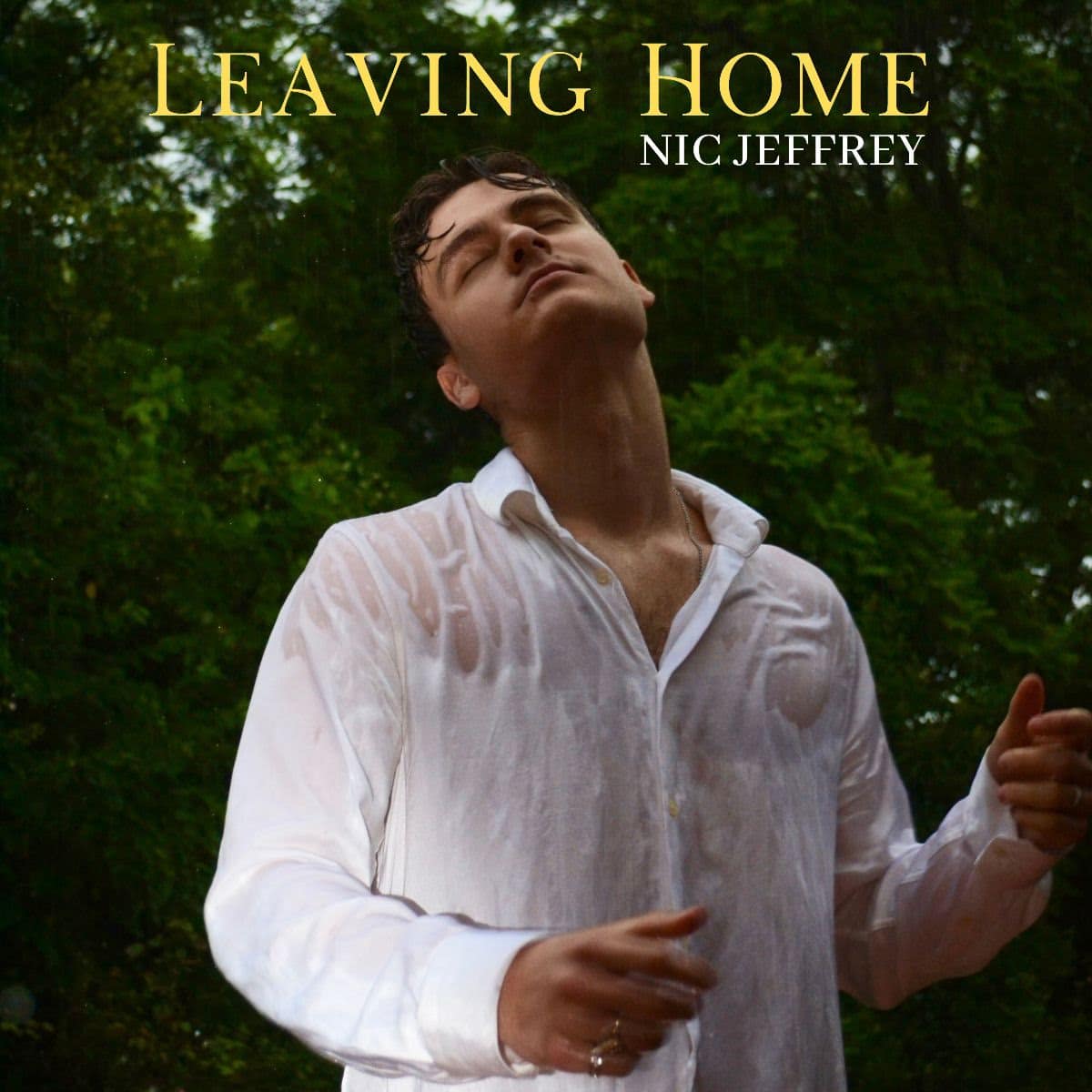 Leaving Home - Nic Jeffrey