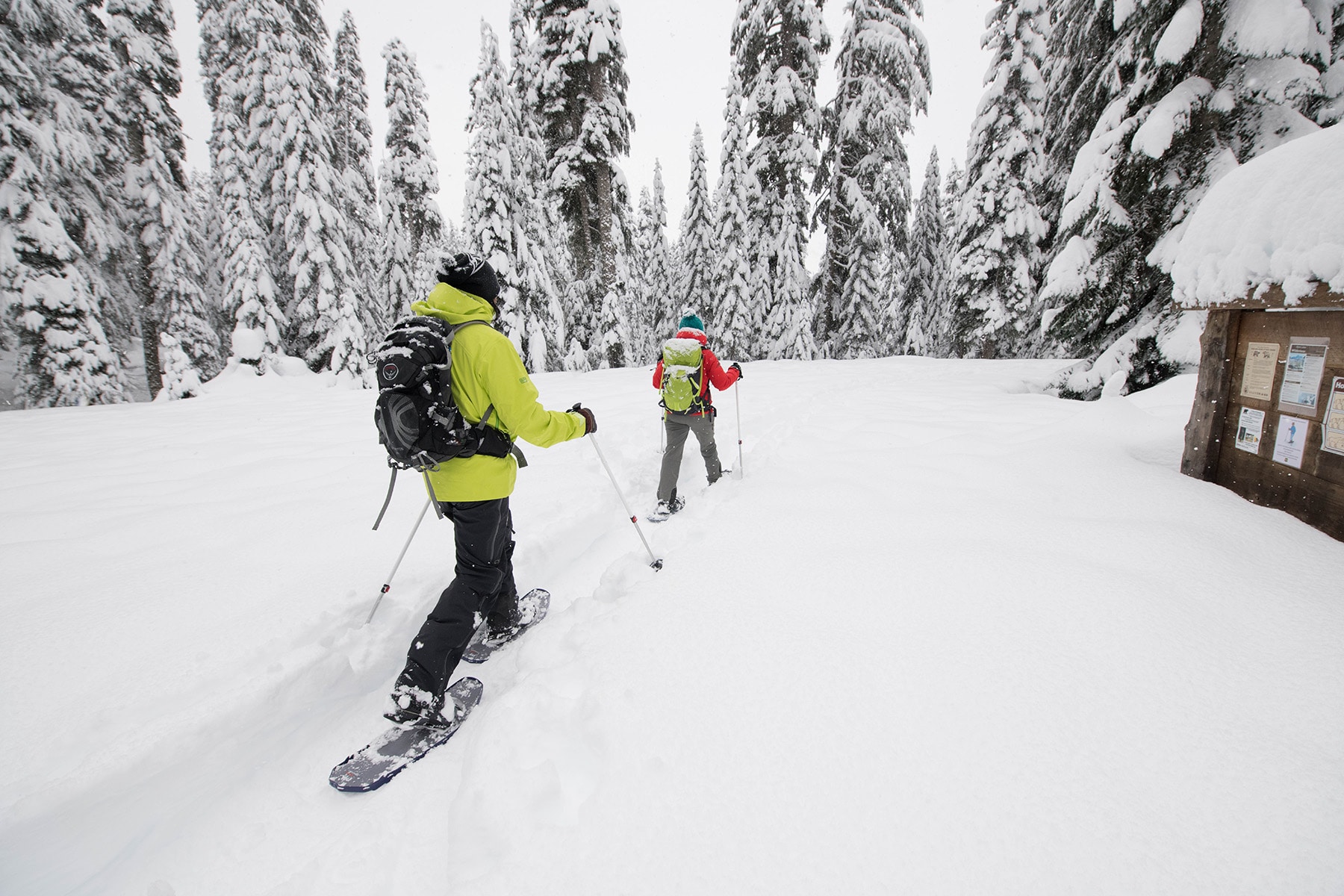 Snowshoeing - Interesting Sports