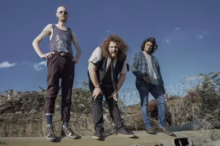 Caution Boy Band - Alligator