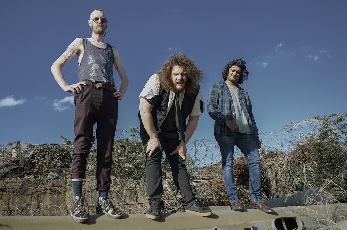 Caution Boy Band - Alligator