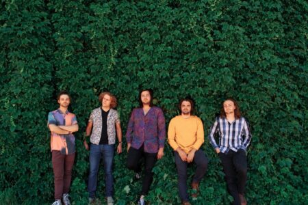 Zebraman - Swimming In The Sun