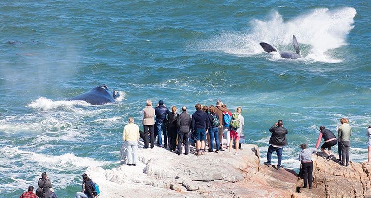 Hermanus - South Africa