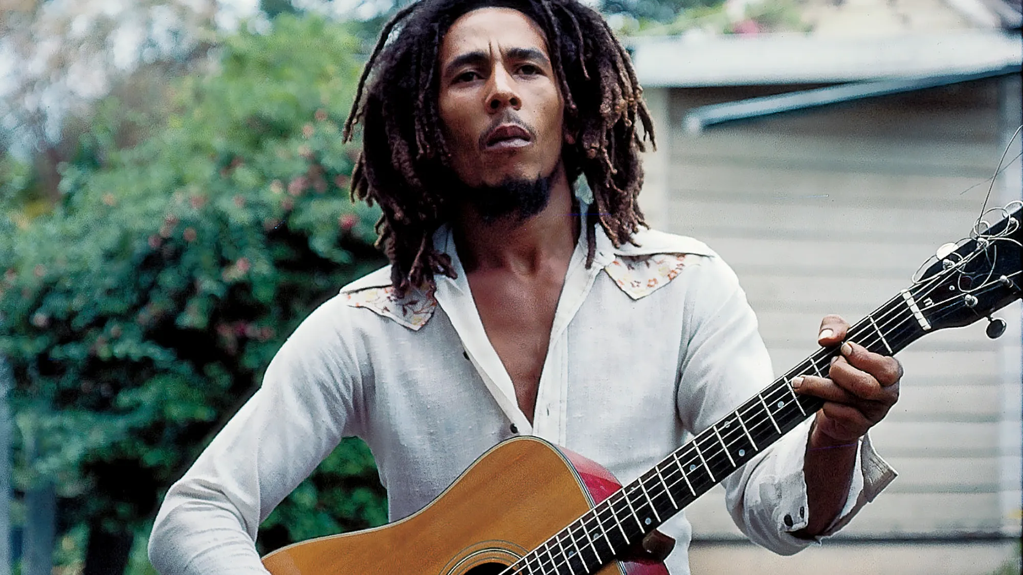 Bob Marley - Died in 1981