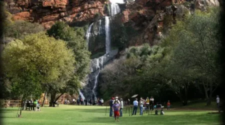 Walter Sisulu Botanical Garden - Roodepoort