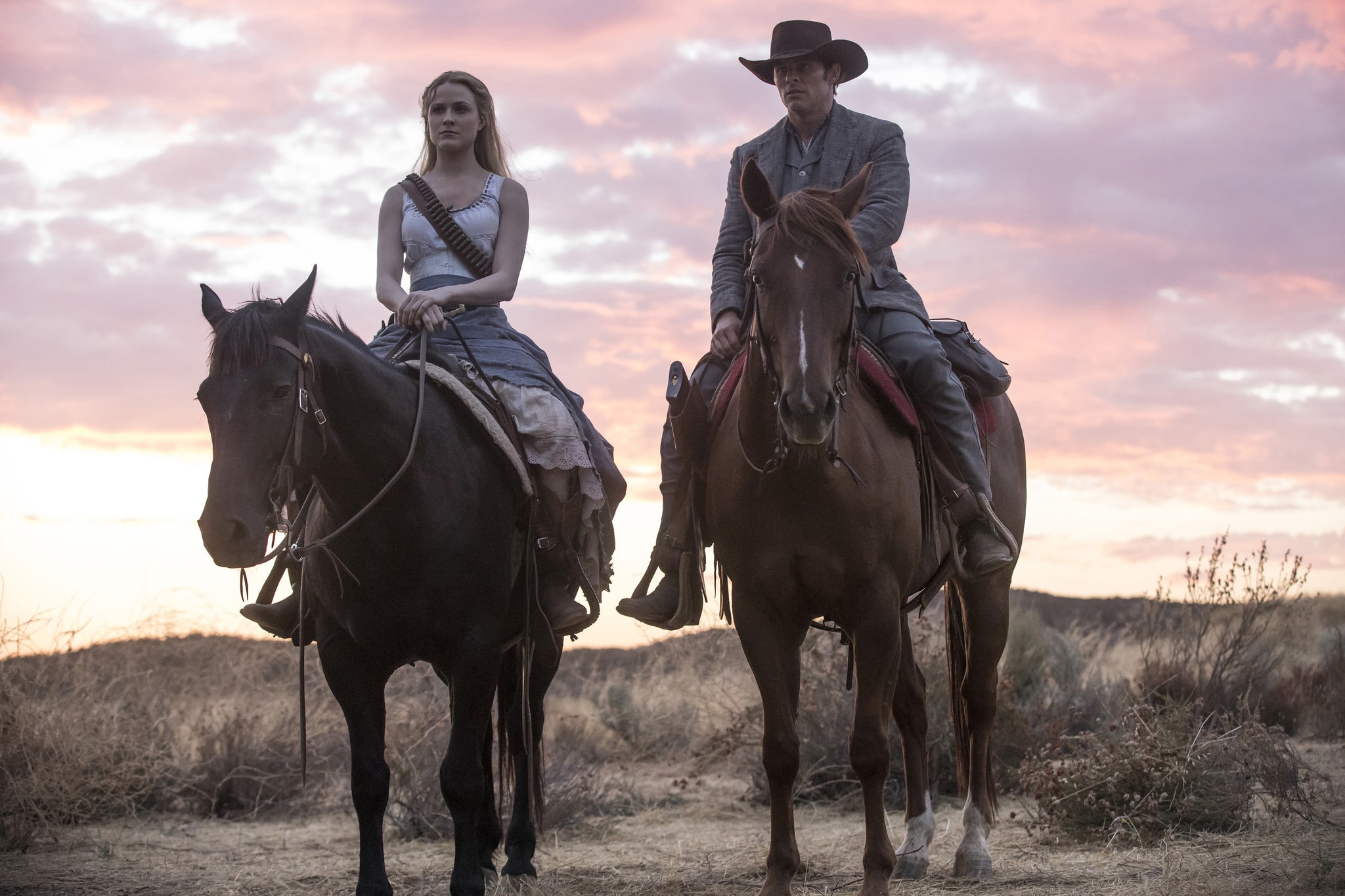Westworld TV Show