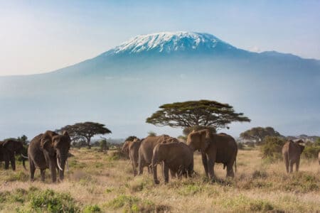 Tanzania - Africa