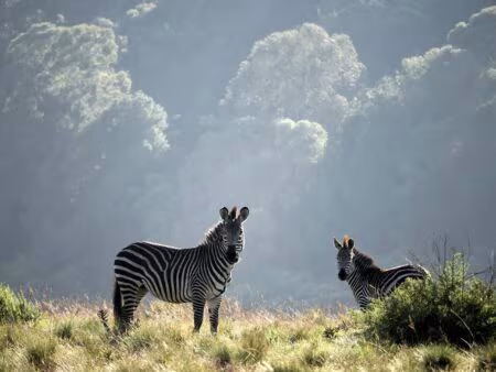 Malawi: 10 Interesting Facts You Might Not Know Malawi