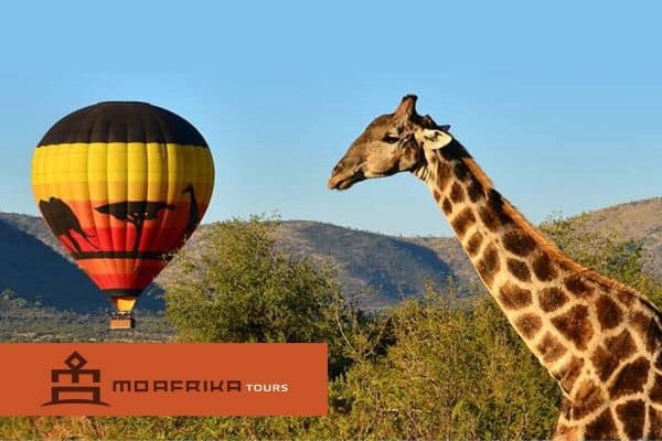 Hot Air Ballooning - Pilanesberg 2