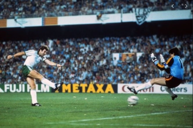 Northern Ireland at the 1982 FIFA World Cup