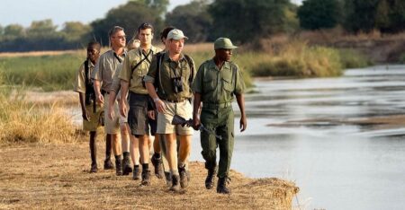 Walking Safaris - Pilanesberg