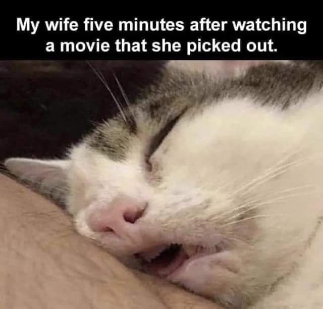 Wife Sleeping - Random Funnies October 2022
