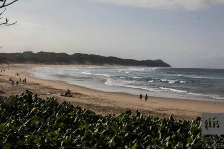 STRAB Music Festival