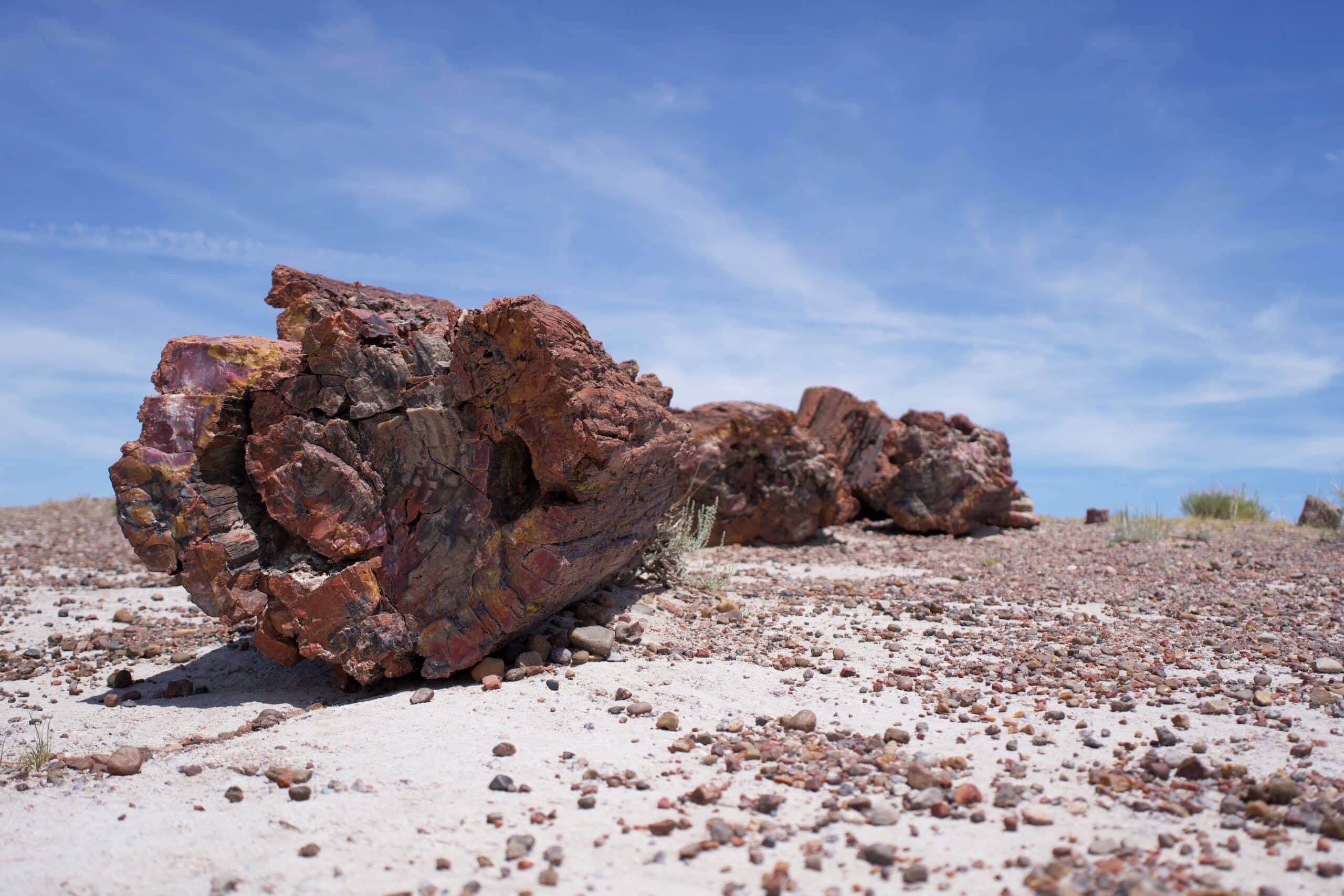Petrified Forest, Arizona