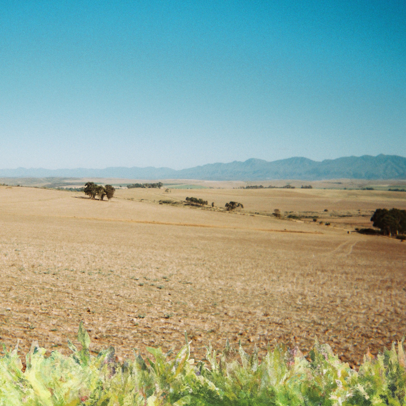 Beatenberg - Single Cover