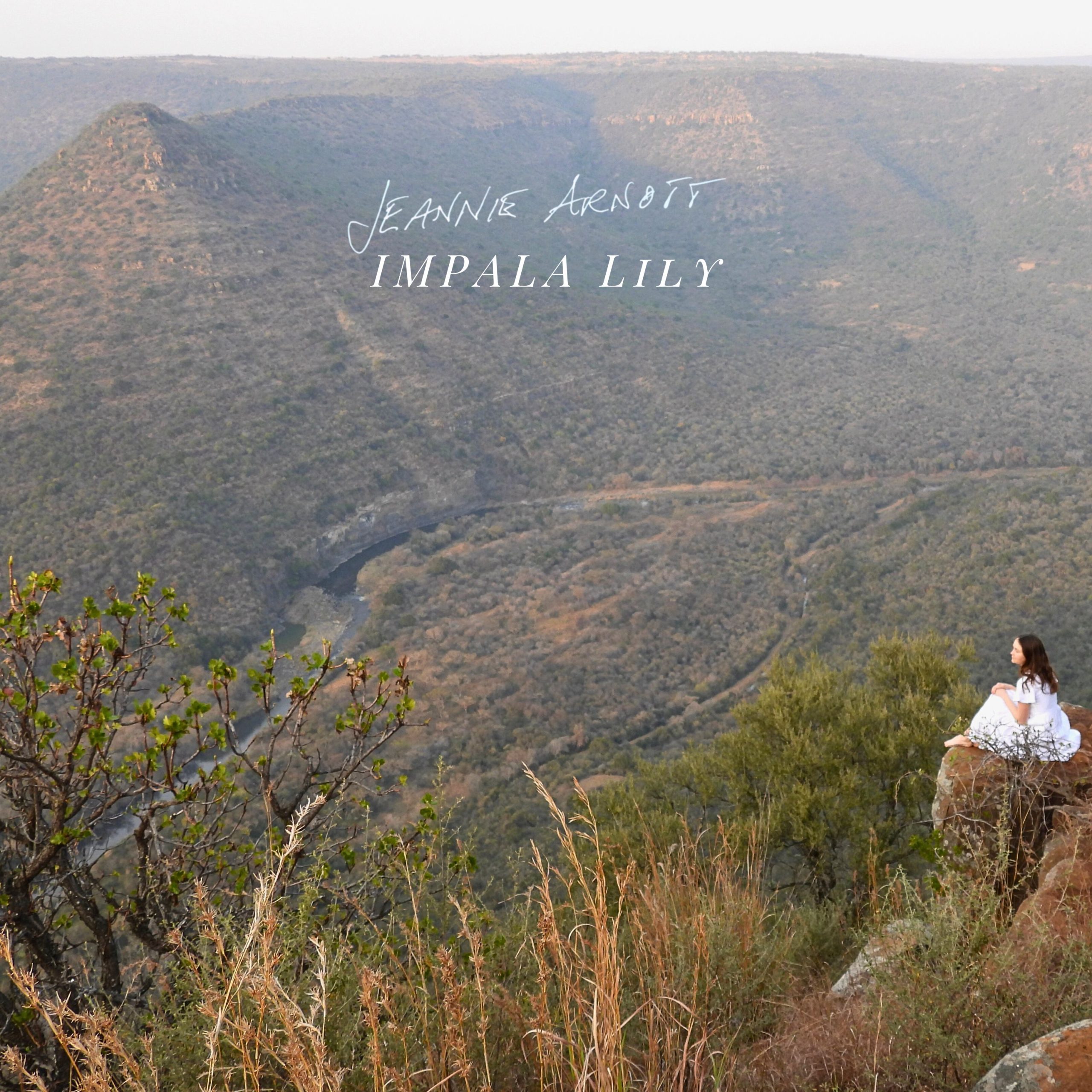 Jeannie Arnott - Impala Lily