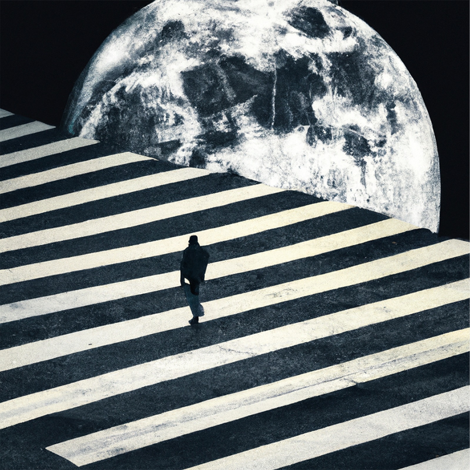 Zebraman - Into The Night