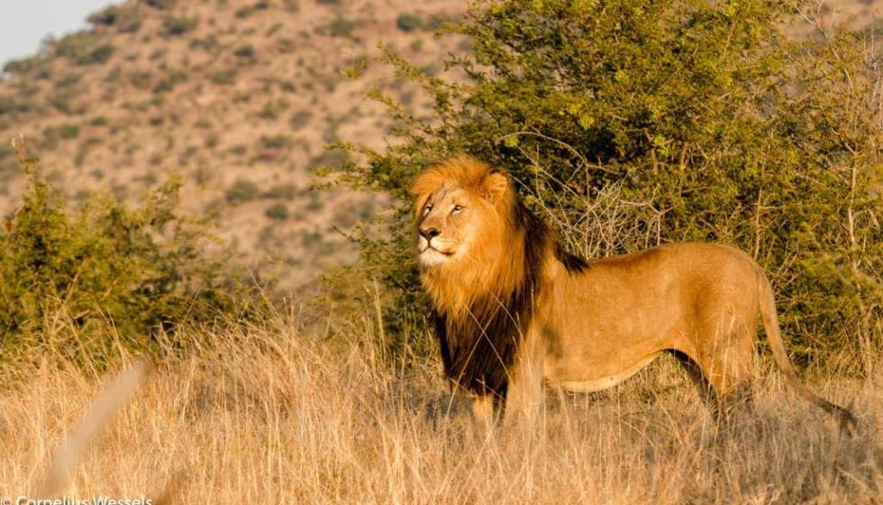 Weekend Getaways: 4 Options Near Pretoria & Johannesburg 12 Weekend Getaways: 4 Options Near Pretoria & Johannesburg 3