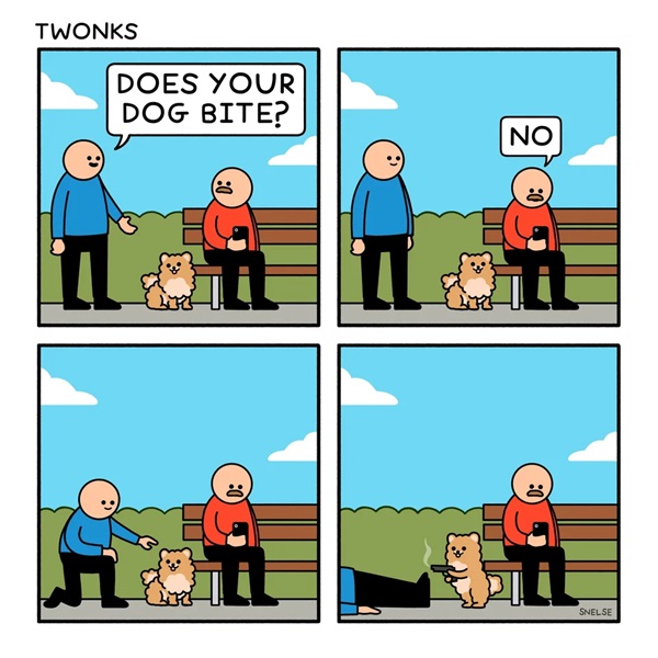 Dog - Random Funnies 05