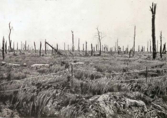 the Battle of Delville Wood