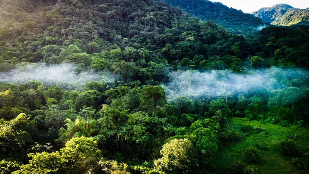How Technology is Saving the World’s Plants and Fungi 6 Biodiversity - Plants and Fungi