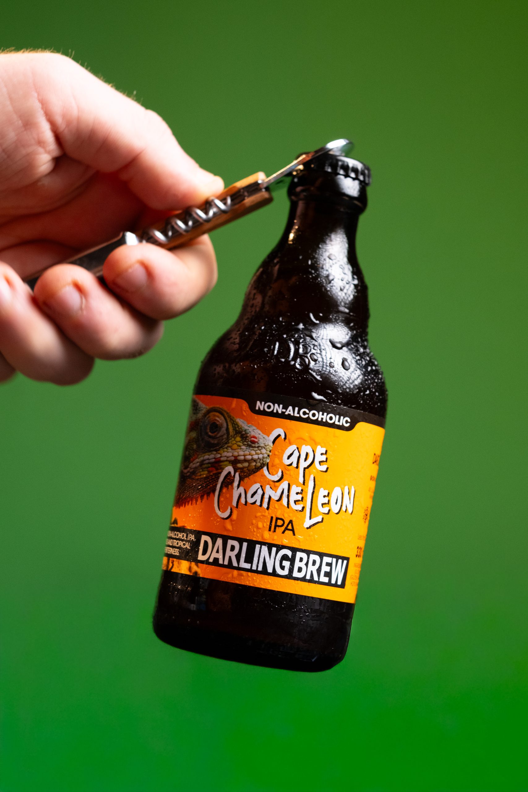 Darling Brew Cape Chameleon