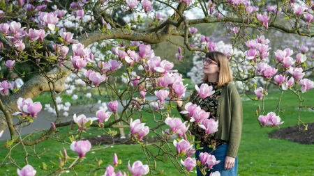 How Technology is Saving the World’s Plants and Fungi How Technology is Saving the World’s Plants and Fungi