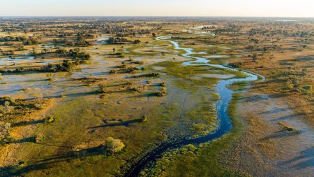 Botswana: 19 Interesting Facts You Might Not Know Okavango Delta, Botswana